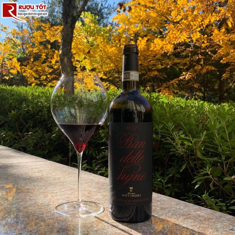 Rượu vang Ý Antinori Pian Delle Vigne