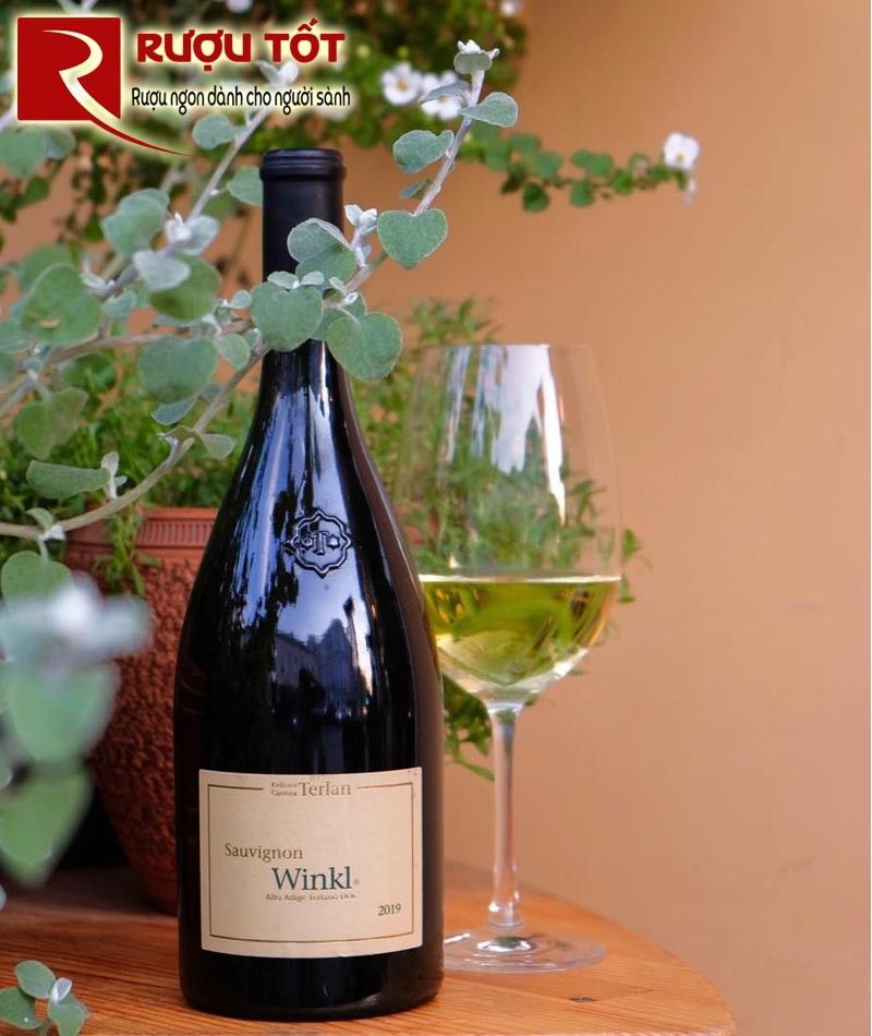 vang y winkl sauvignon blanc