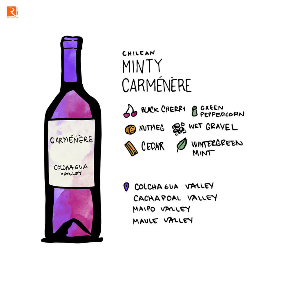 Minty Carmenere