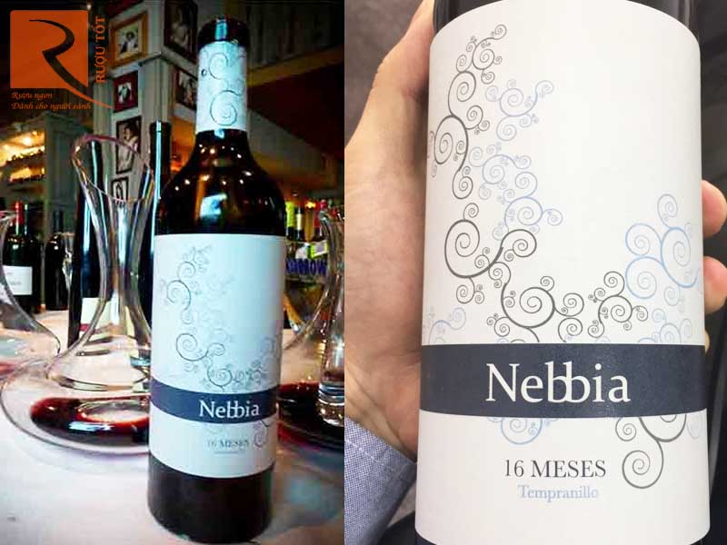 Rượu vang Vang Nebbia 16 Meses