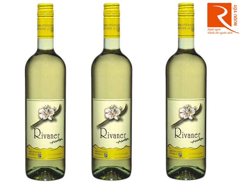 Rượu vang Bergsträsser Winzer Rivaner Q.B.A Troken