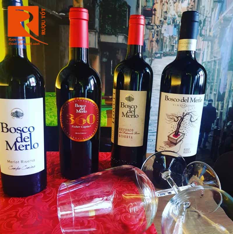 Rượu vang Ý 360 Ruber Capite Bosco De Merlo Blend
