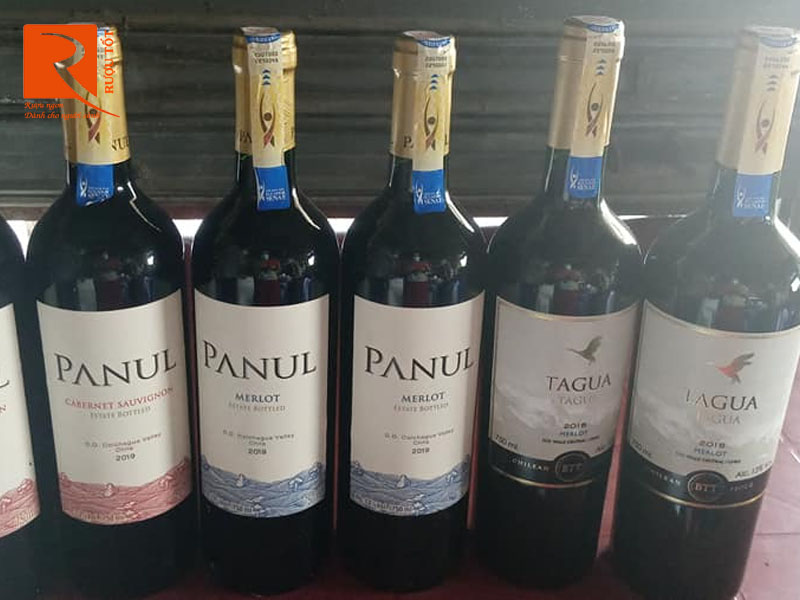 Vang Chile Tagua Tagua Merlot Central Valley 