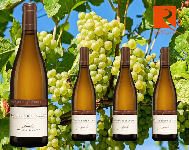 Rượu Vang Cotes du Rhone Villages Laudun 14%