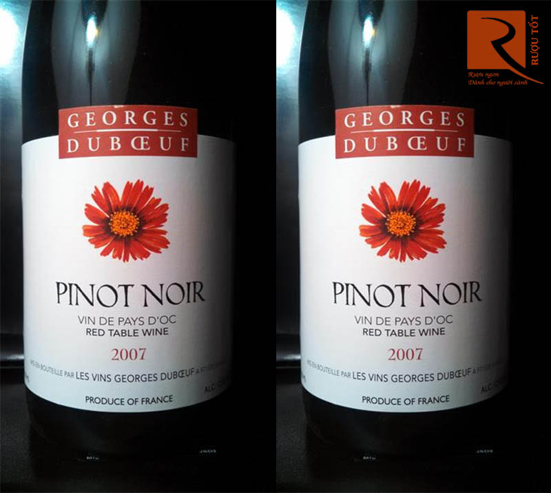 Rượu vang Pinot Noir Georges Duboeuf Pays d’Oc