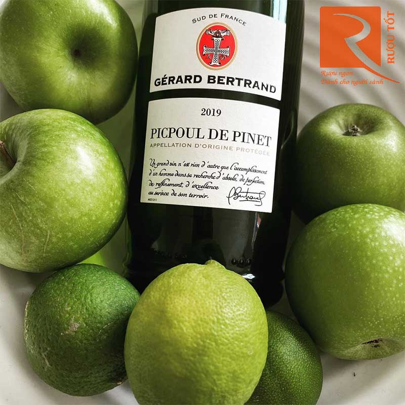 Rượu Vang Terroir Picpoul de Pinet Gerard Bertrand