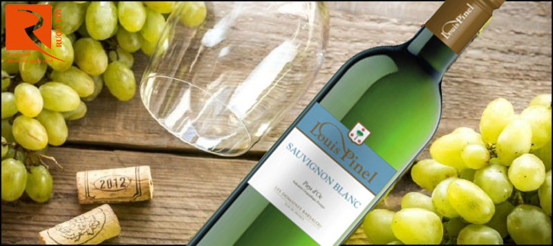 Rượu Vang Louis Pinel Sauvignon Blanc