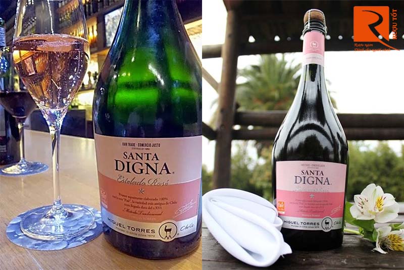 Rượu Vang Santa Digna Estelado Rose Torres