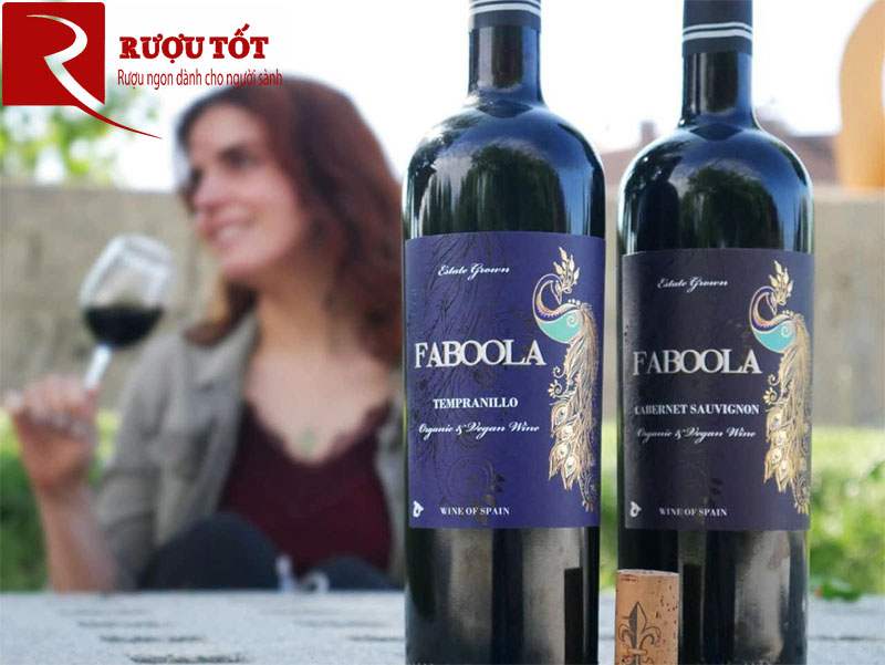 Rượu Vang Faboola Tempranillo Organic