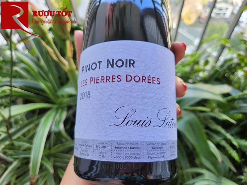 Rượu Vang Pinot Noir Les Pierres Dorées Louis Latour