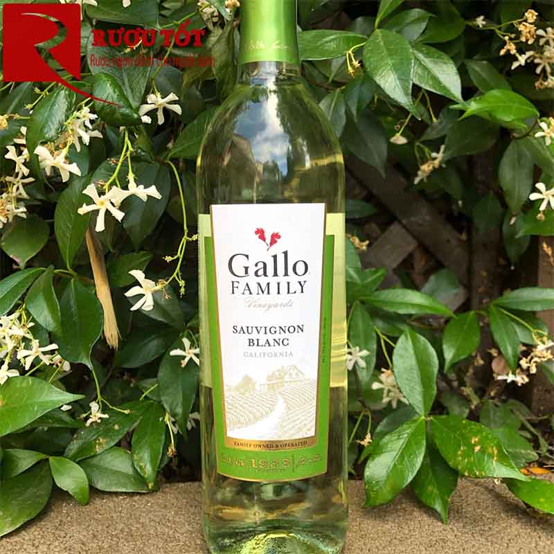 Vang Mỹ Gallo Family Vineyards Varietal Sauvignon Blanc