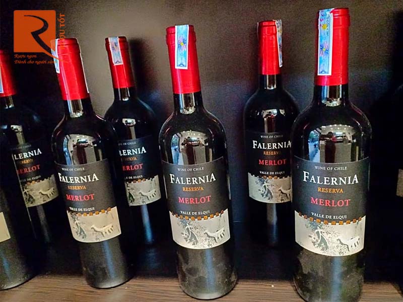 Rượu vang Falernia Merlot Reserva