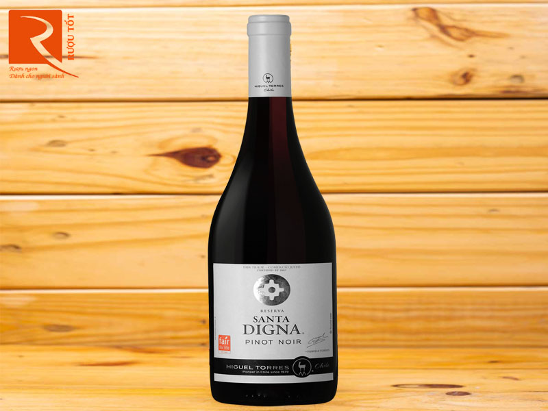 Rượu vang Chile Santa Digna Reserva Pinot Noir Miguel Torres