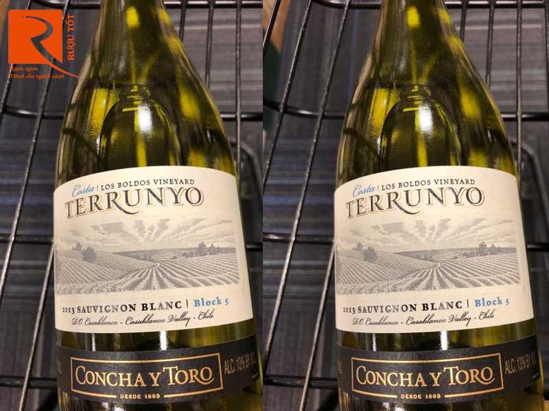Rượu vang Chile Terrunyo Sauvignon Blanc Block 5 Concha Y Toro