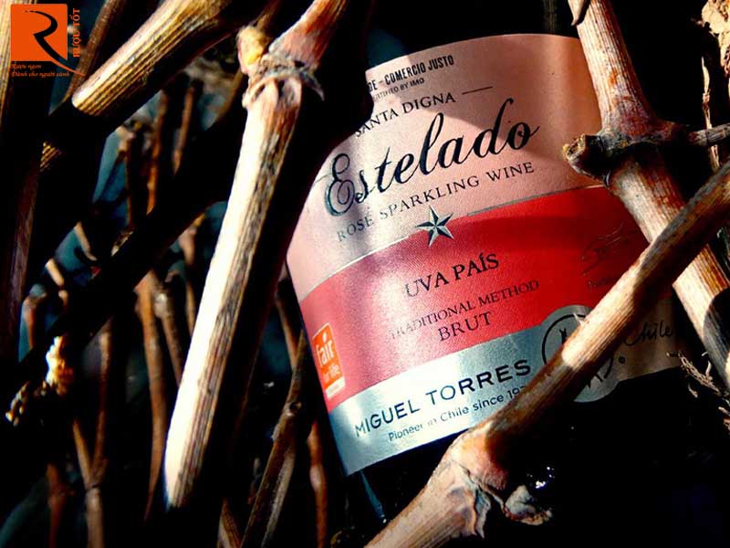 Rượu vang nổ Chile Estelado Rose Uva Pais Traditional Method
