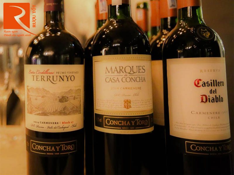Rượu vang Marques de Casa Concha Carmenere Concha Y Toro