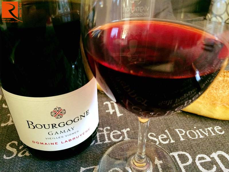 Rượu vang Pháp Bourgogne Gamay Domaine Labruyere