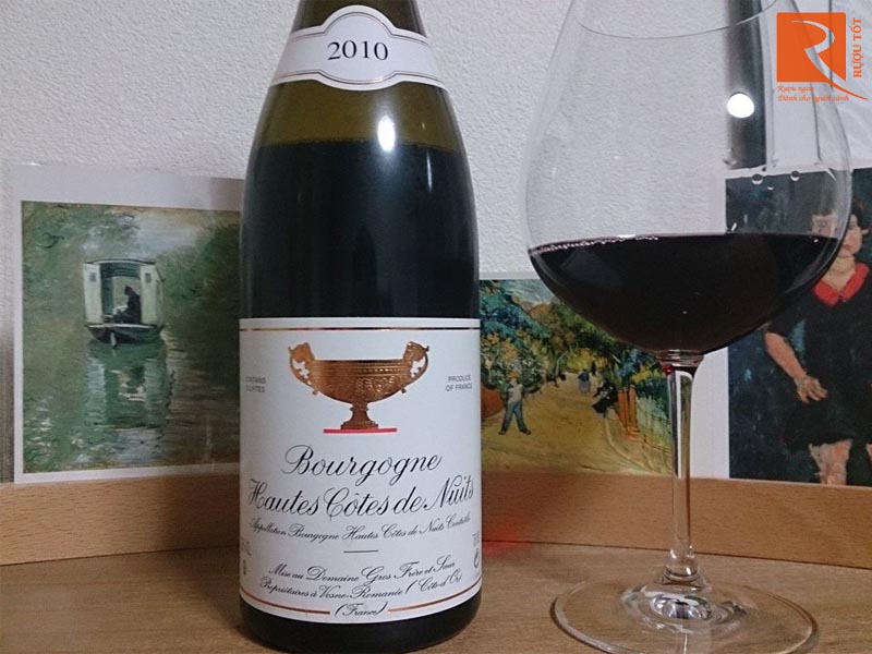 Rượu vang Pháp Bourgogne Hautes Cotes de Nuits