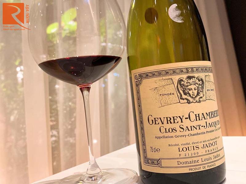 Rượu vang Pháp Gevrey Chambertin Clos Saint Jacques Louis Jadot