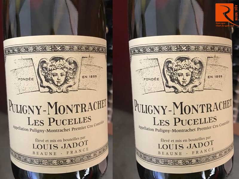 Puligny Montrachet Les Pucelles Louis Jadot