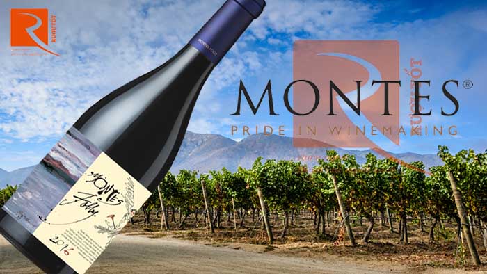 Rượu vang Chile Montes Folly Syrah
