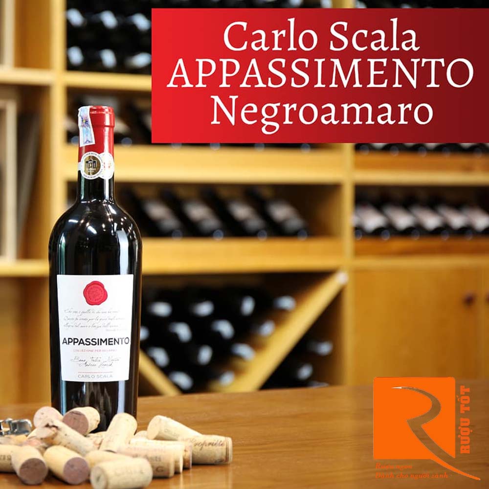 Rượu Vang Appassimento Carlo Scala