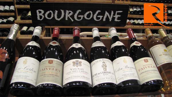 Rượu vang Burgundy