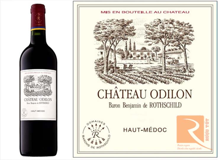 Rượu vang Chateau Odilon