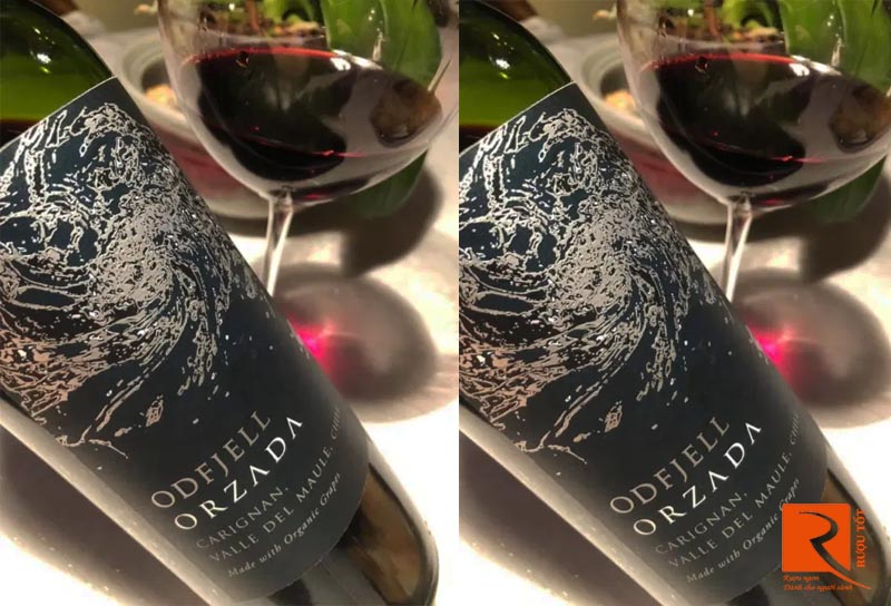 Rượu vang Chile Odfjell Orzada Carignan