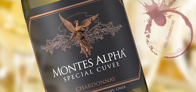 Khám phá Montes Alpha Special Cuvee dòng sản phẩm mới của gia đình Montes