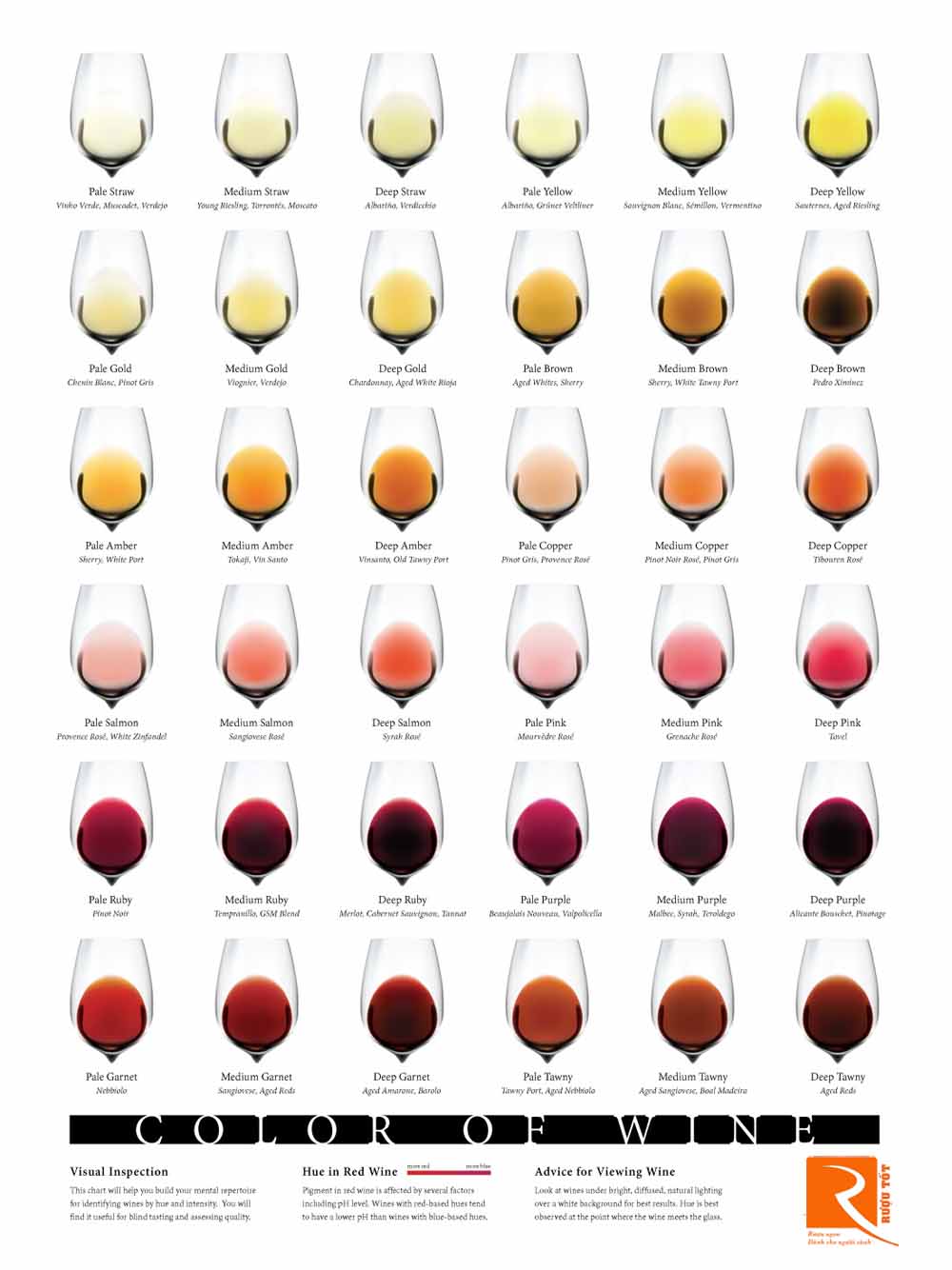 Những yếu tố ảnh hưởng đến cường độ màu sắc của rượu vang