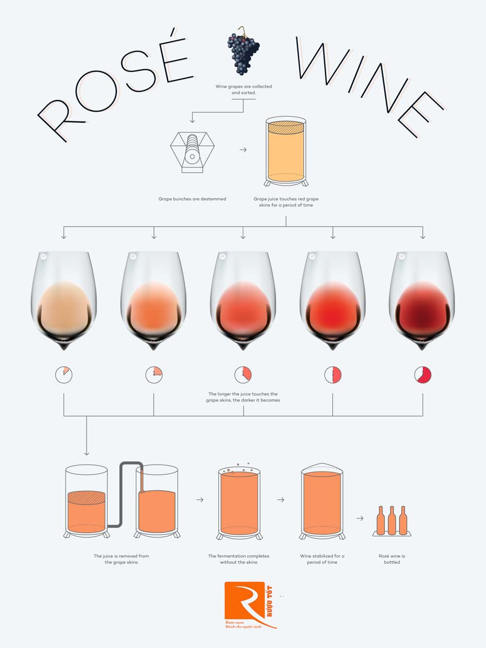 Rượu vang Hồng là gì? Bí mật về rượu vang hồng mà bạn nên biết