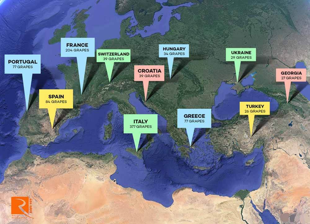 Sự đa dạng trong cách trồng tạo ra hơn 1300 loại rượu vang