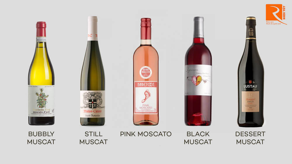 Kiểu rượu Moscato mà bạn biết