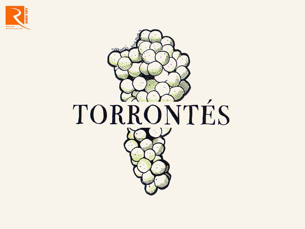 Torrontes là Nữ hoàng của Argentina.