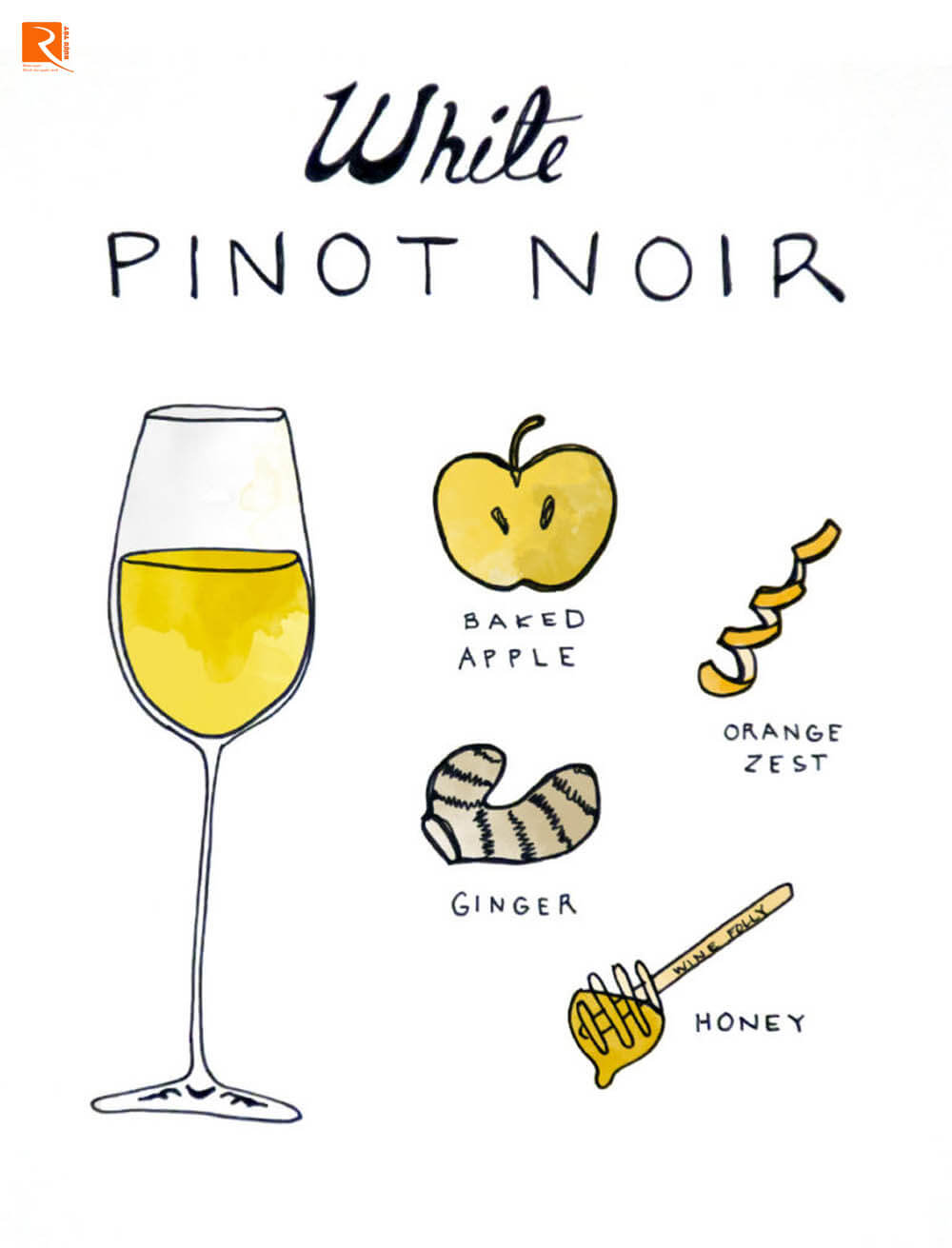 Pinot Noir trắng