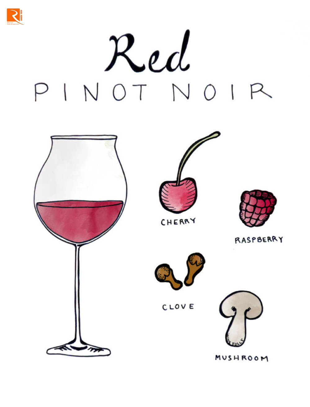 Pinot Noir Đỏ