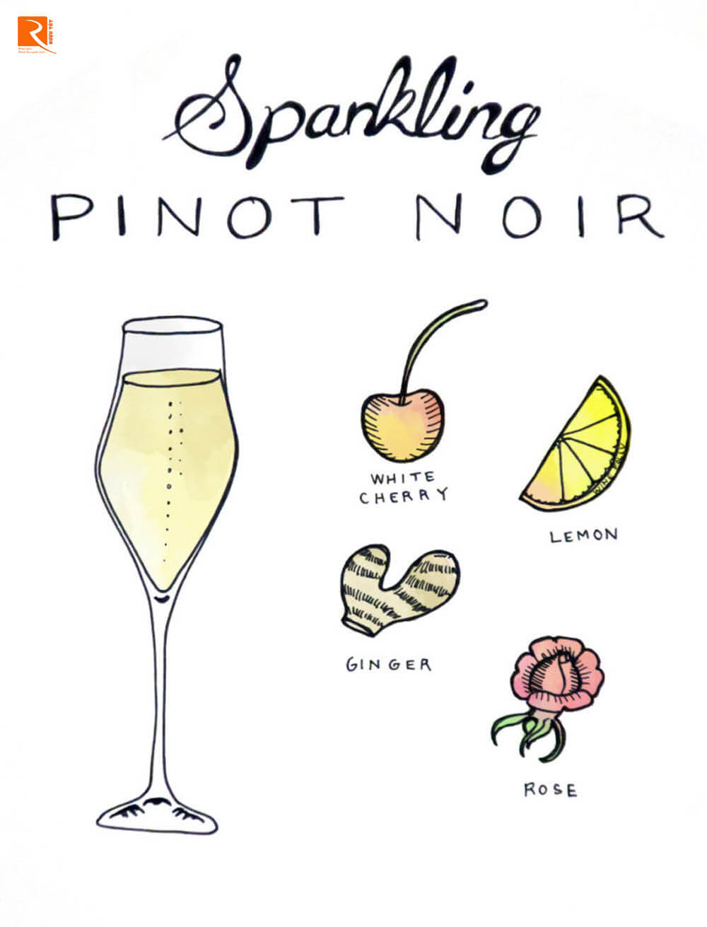 Sparkling Pinot Noir