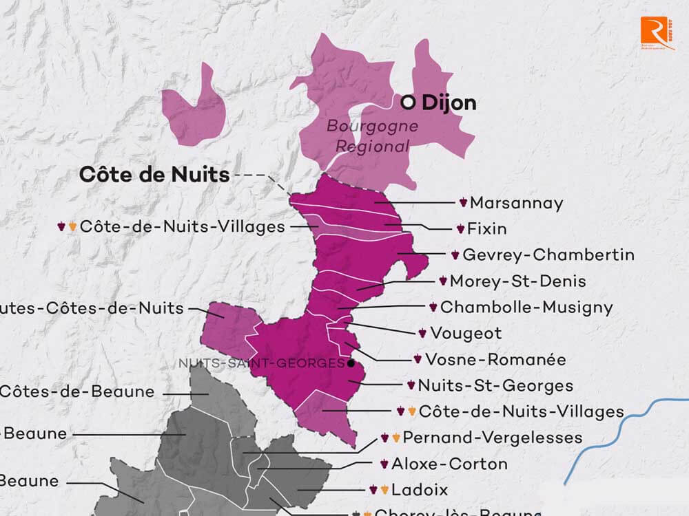 Côte de Nuits