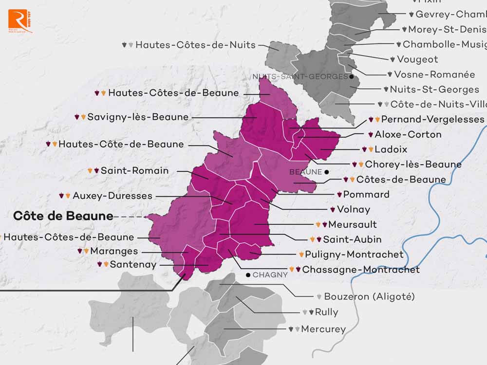 Côte de Beaune