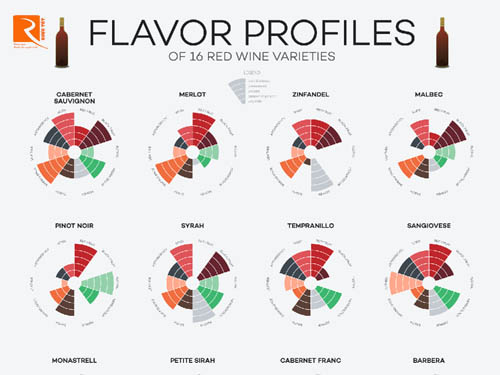 Các giống nho chính làm rượu vang đỏ cho hương vị như thế nào?