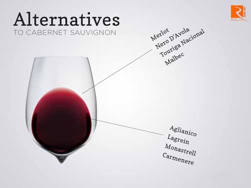 Những loại rượu có thể thay thế cho Cabernet Sauvignon
