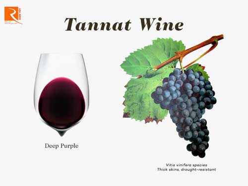 Giống nho Tannat cho rượu vang hấp dẫn như thế nào?
