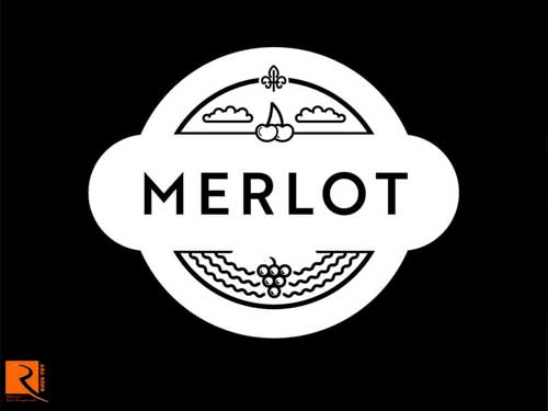 Giống nho Merlot là giống nho phổ biến thứ hai thế giới hiện nay.