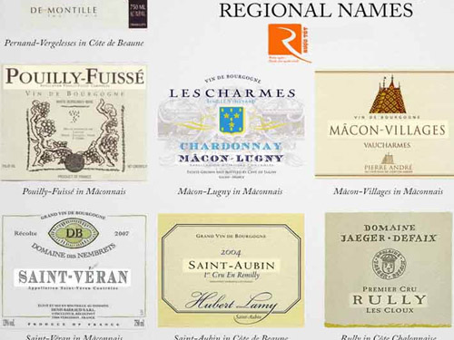 Tổng quan về rượu vang trắng của Pháp
