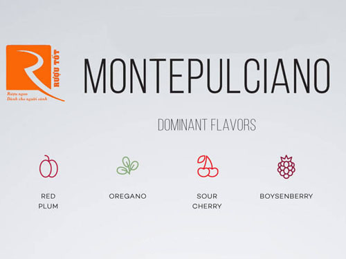 Thông tin cần biết về rượu vang Montepulciano.