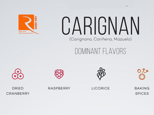 Rượu vang Carignan là rượu thực phẩm có đúng không?