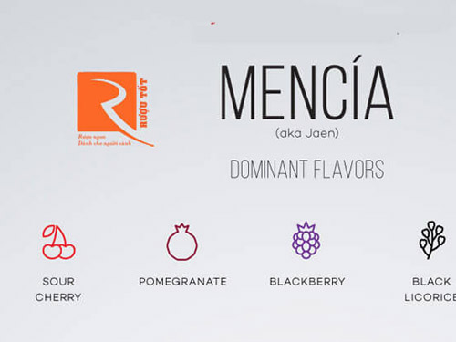 Tìm hiểu về rượu vang đỏ Mencia.