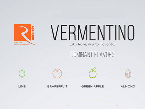 Bạn đã biết về rượu vang Vermentino tuyệt vời chưa?