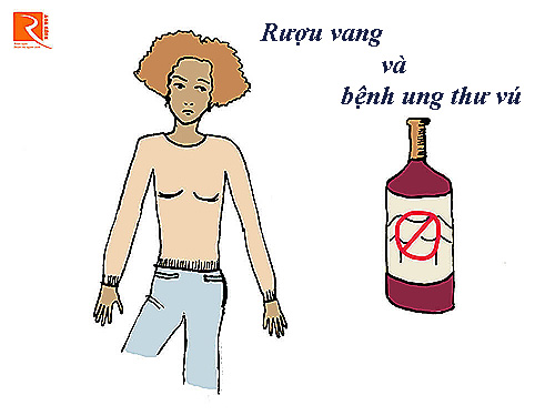Rượu vang và bệnh ung thư vú trong đời sống sinh hoạt.